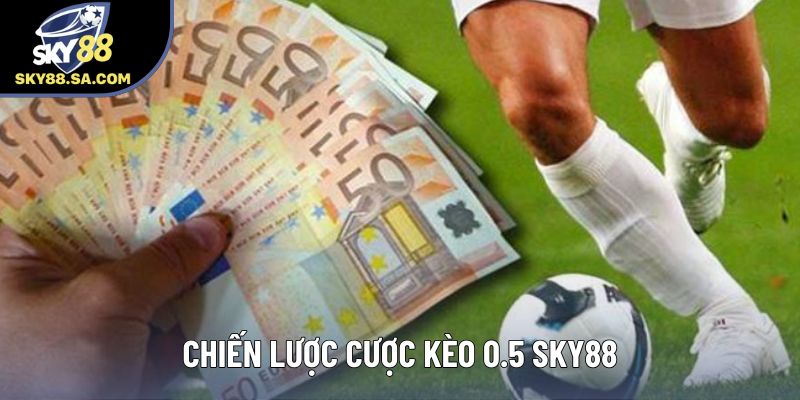 Chiến lược cược kèo 0.5 Sky88