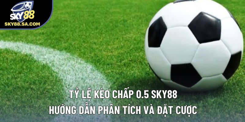Tỷ Lệ Kèo Chấp 0.5 – Hướng Dẫn Phân Tích Và Đặt Tiền