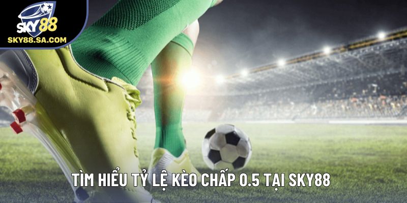 Tìm hiểu tỷ lệ kèo chấp 0.5 tại Sky88 